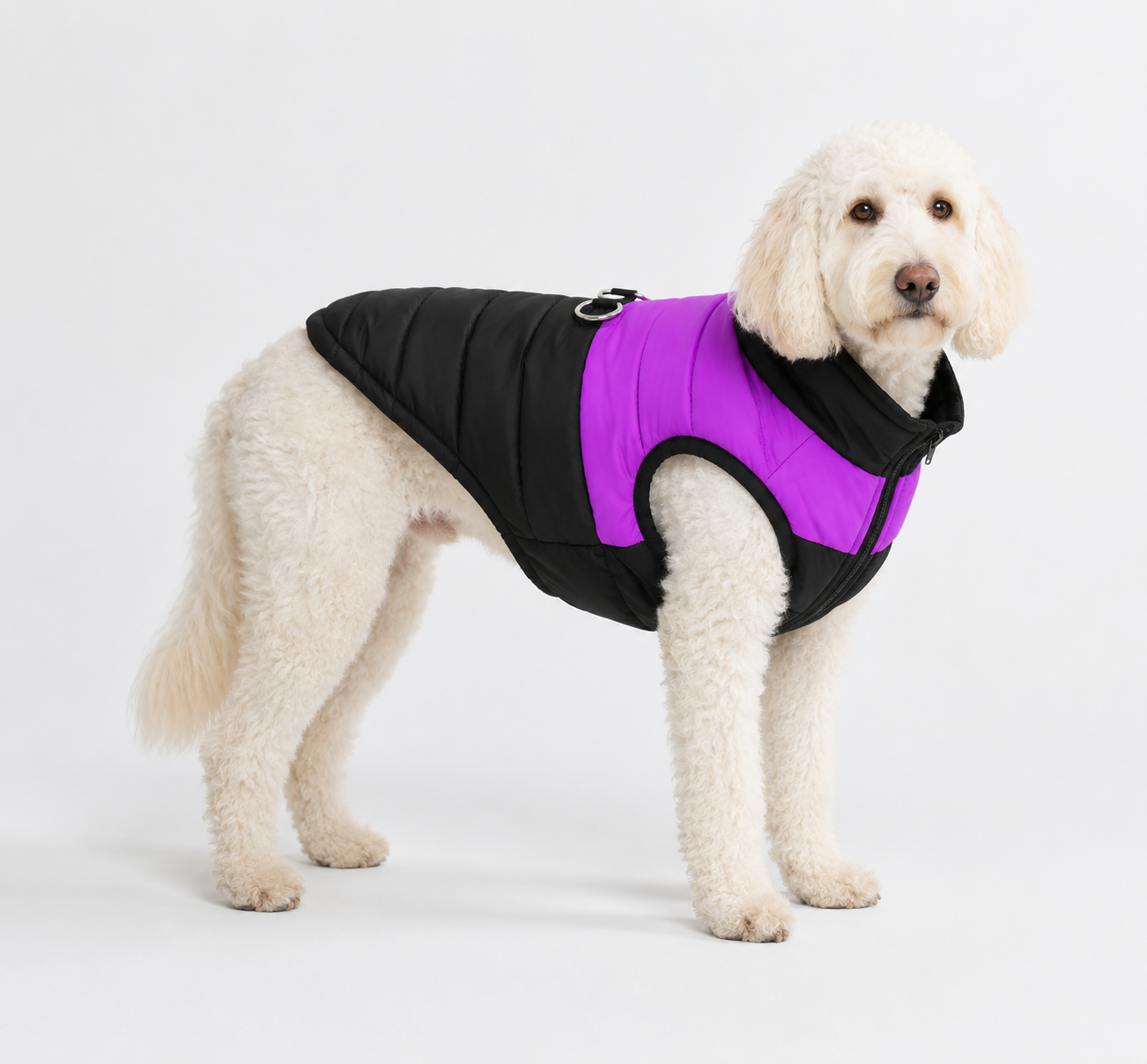 Outback Paws™ StormShield Jacket™