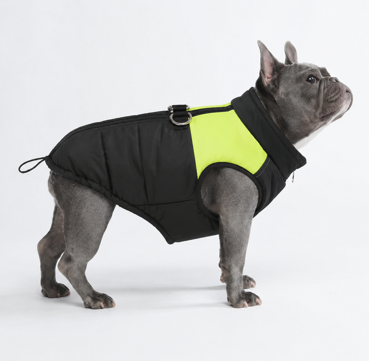 Outback Paws™ StormShield Jacket™